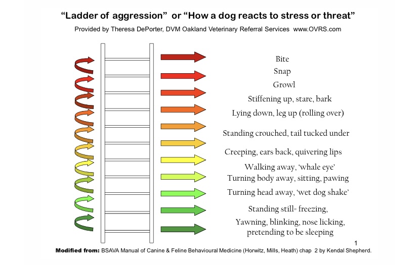 ladder of aggression