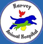 Harvey Animal Hospital - Detroit, MI - Our doctor, Jerrod Notebaert, DVM, Exotic Medicine, Exotic Vet, Avian, Reptilian, Amphibian Veterinarian